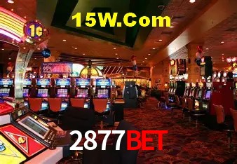 2877Bet - User Statistics