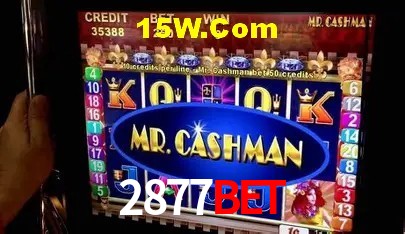 2877Bet Salvador - Promo Stats